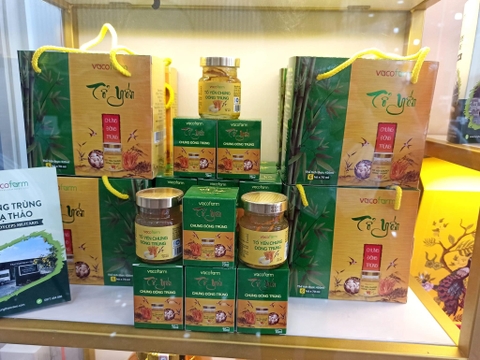 TỔ YẾN CHƯNG ĐÔNG TRÙNG HẠ THẢO (Lốc 6 lọ)