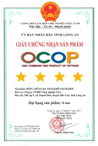 ĐÔNG TRÙNG HẠ THẢO SẤY THĂNG HOA LỌ (50gram)