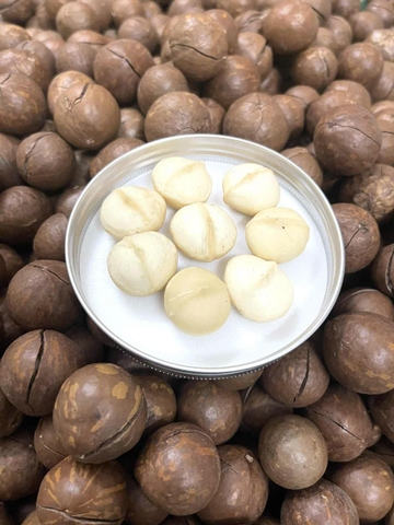 HẠT MACCA SẤY THẢO CHI ( 500g )