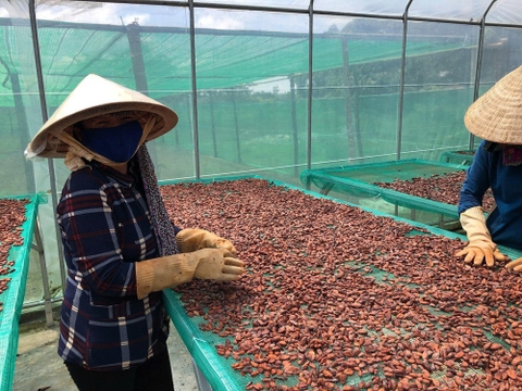 Bột CaCao Nguyên Chất BINON ( 200g )