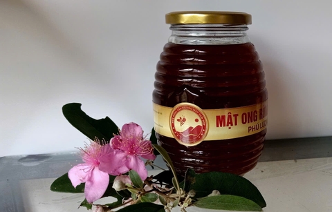 MẬT ONG RỪNG PHÚ LƯƠNG (750ml)