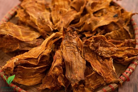 NÕN MĂNG NỨA SẤY KHÔ (100g)