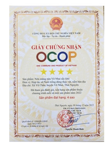 NÕN MĂNG NỨA SẤY KHÔ (100g)