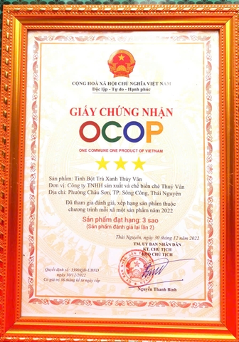 TINH BỘT TRÀ XANH THUÝ VÂN (100g)