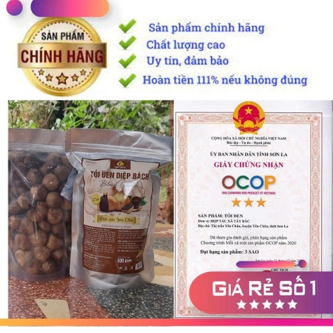 TỎI ĐEN  - DIỆP BÁCH (500g)