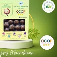 HẠT MACCA NGUYÊN VỎ (500g)