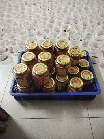 ĐÔNG TRÙNG HẠ THẢO (30g)