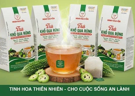 TRÀ KHỔ QUA RỪNG TÚI LỌC - MINH NGUYỄN (15 túi lọc)