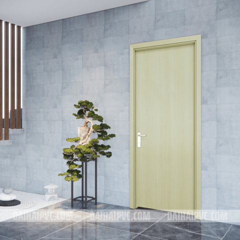 Mẫu cửa nhựa CN11