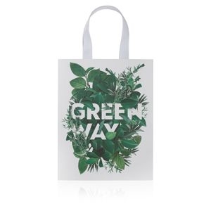 Túi đựng quà size lớn “Greenway”, 26 х 33 х 9 cm