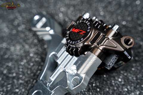 PAT HEO TRƯỚC MOTO 3 SIZE 220MM LAMBRETTA X125X300 - GH RACING