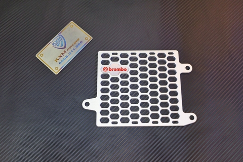 BẢO VỆ KÉT NƯỚC VARIO 150/ AB 125 (LOGO BREMBO)