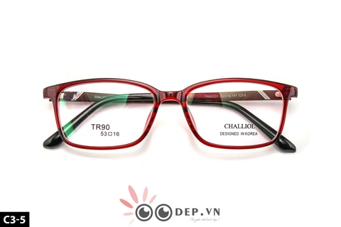 Kính Challiol 73004