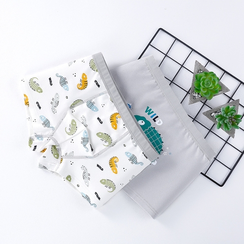 Combo 2 quần lót cotton kháng khuẩn in hoạt hình nhiều size cho bé trai