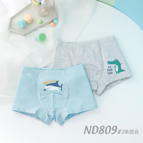 Combo 2 quần lót cotton kháng khuẩn in hoạt hình cho bé trai