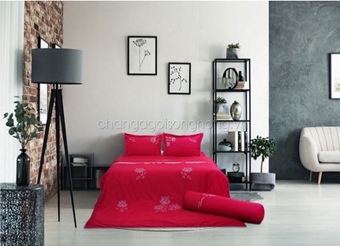 Màu chăn ga gối đệm ảnh hưởng thế nào tới năng lượng bên trong con người?