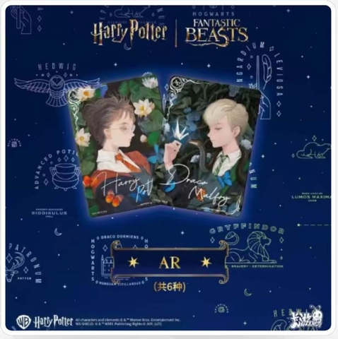 THẺ BÀI Harry Potter & Fantastic Beasts - Trading Cards Box (Cayou) PACK CARD CHÍNH HÃNG