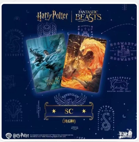 THẺ BÀI Harry Potter & Fantastic Beasts - Trading Cards Box (Cayou) PACK CARD CHÍNH HÃNG