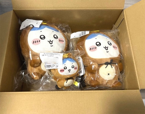 Bông Hachiware - Chiikawa Tanuki Damon Kuji - Dodeka Nuigurumi Plushie (Gray Parka Service) Plushie CHÍNH HÃNG