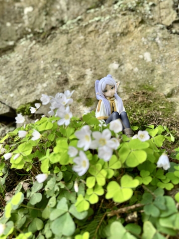 MÔ HÌNH Frieren - Frieren: Beyond Journey's End - 1/7 Scale Figure(ELCOCO) FIGURE CHÍNH HÃNG