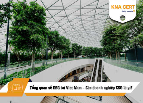 Tổng quan về ESG tại Việt Nam – Các doanh nghiệp ESG là gì?
