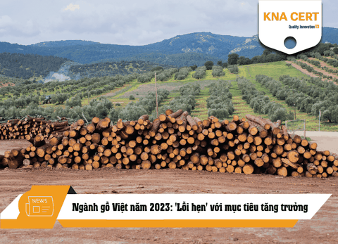 Ngành gỗ Việt năm 2023: 'Lỗi hẹn' với mục tiêu tăng trưởng