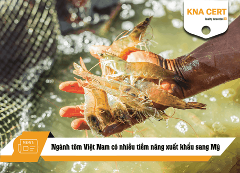 Ngành tôm Việt Nam có nhiều tiềm năng xuất khẩu sang Mỹ