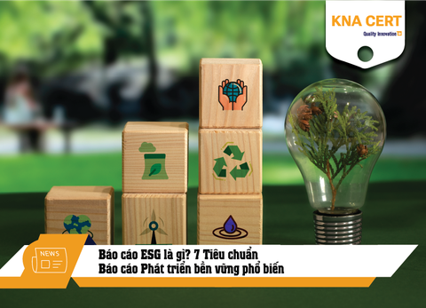 Báo cáo ESG là gì? 7 Tiêu chuẩn Báo cáo Phát triển bền vững phổ biến