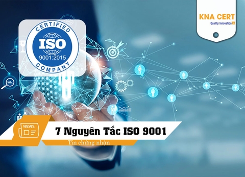 [ISO 9001:2015] Phân tích 7 nguyên tắc quản lý chất lượng