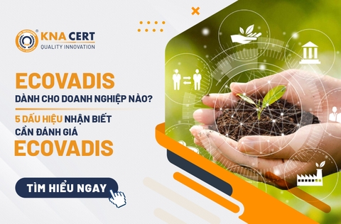 EcoVadis dành cho doanh nghiệp nào? 5 Dấu hiệu nhận biết cần đánh giá EcoVadis 