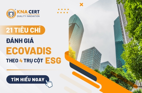 21 tiêu chí đánh giá EcoVadis theo 4 trụ cột ESG 