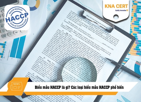 Biểu mẫu HACCP là gì? Các loại biểu mẫu HACCP phổ biến