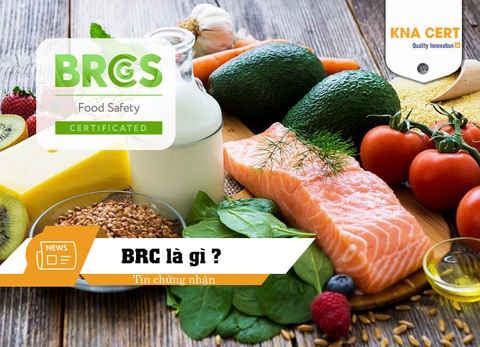 BRCGS là gì? Điều cần biết về Tiêu chuẩn An toàn Thực phẩm BRCGS