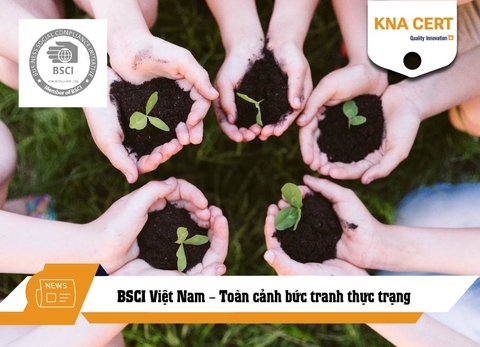 BSCI Việt Nam – Toàn cảnh bức tranh thực trạng