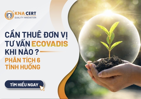 Cần thuê đơn vị tư vấn EcoVadis khi nào? Phân tích 6 tình huống cụ thể 