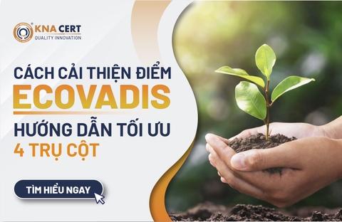 Cách cải thiện điểm EcoVadis: Hướng dẫn tối ưu 4 trụ cột Môi trường - Xã hội - Đạo đức - Mua sắm 
