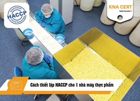 Cách thiết lập HACCP cho 1 nhà máy thực phẩm [Tư vấn thiết kế nhà xưởng theo HACCP]