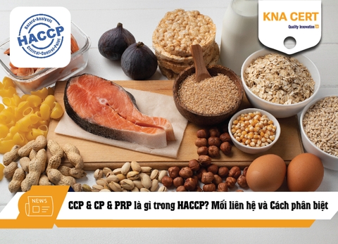 CCP & CP & PRP là gì trong HACCP? Mối liên hệ và Cách phân biệt