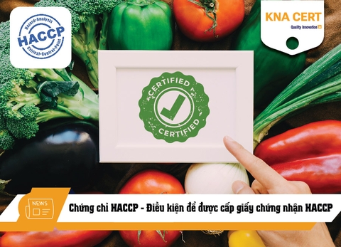 Chứng chỉ HACCP là gì? Điều kiện để được cấp giấy chứng nhận HACCP