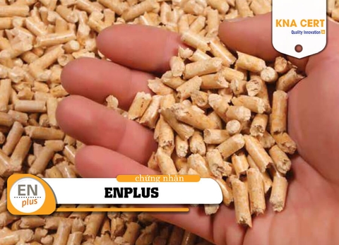 Chứng nhận ENplus – Chất lượng trong sản xuất viên nén gỗ (2026)