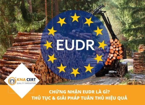 Dịch vụ chứng nhận EUDR uy tín – Giải pháp giúp doanh nghiệp tuân thủ Quy định (EU) 2023/1115 hiệu quả