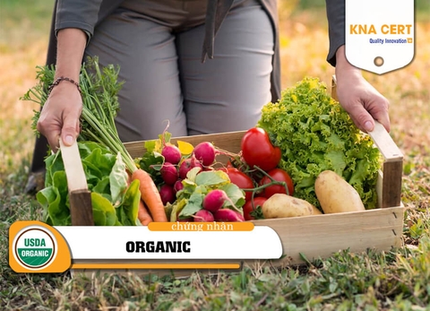 Chứng nhận hữu cơ Organic là gì? Lợi ích & Quy trình chứng nhận