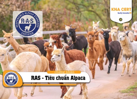 Chứng nhận RAS – Tiêu chuẩn Alpaca Có trách nhiệm