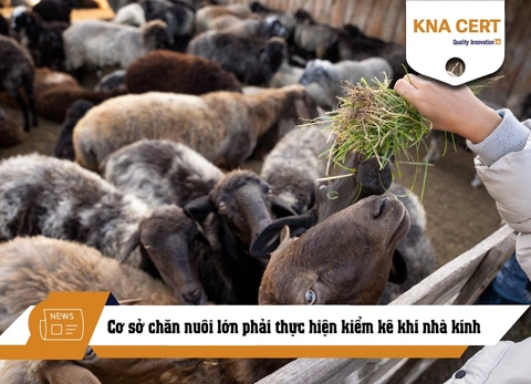 Cơ sở chăn nuôi lớn phải thực hiện kiểm kê khí nhà kính