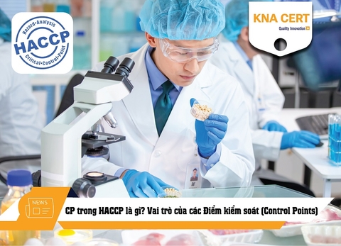 CP trong HACCP là gì? Vai trò của các Điểm kiểm soát (Control Points)