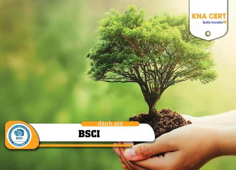 Đánh giá BSCI là gì? Dịch vụ cấp Báo cáo BSCI - Giải pháp để đạt thứ hạng cao