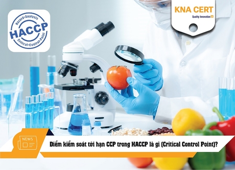 Điểm kiểm soát tới hạn CCP trong HACCP là gì (Critical Control Point)?