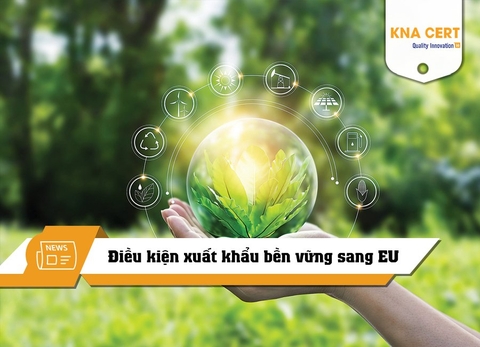 Điều kiện xuất khẩu bền vững sang EU: Quan tâm tới môi trường
