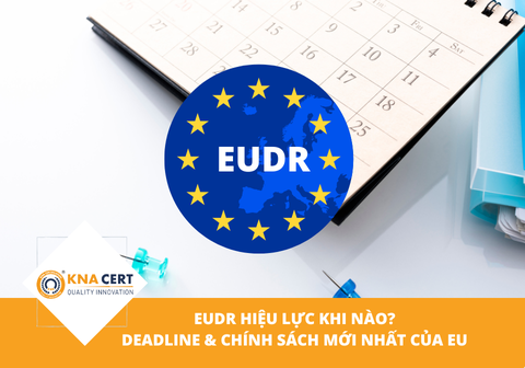 EUDR hiệu lực khi nào? Deadline & Chính sách mới nhất của EU 