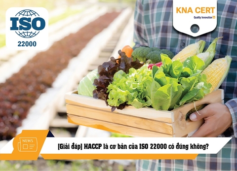 [Giải đáp] HACCP là cơ bản của ISO 22000 có đúng không?